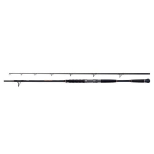 SHIMANO Beastmaster Welsköder 2,70 m 200 g 2 cm S