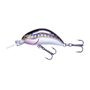 Wobbler Robinson Tronx S40, 40mm Farbe S-SH, 4g