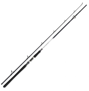 Daiwa Grandwave 2.40m 150-300g 2sec S