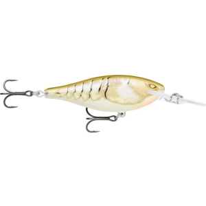 Wobbler Rapala Shad Rap Elite 5,5cm PDBC