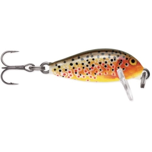 RAPALA Countdown 2,5 cm CD01 TR