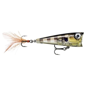 Wobbler Rapala X-Light Pop FNP04 4 cm GGIU