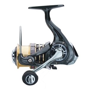 Rolle Robinson Suzuka FD 308
