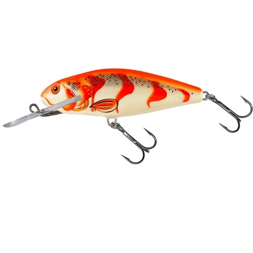 SALMO PERCH DR ALBINO PERCH.jpg