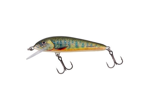 SALMO MINNOW Floating LAKE CHARR.jpg