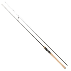 Robinson Toshido Pro Light 2,45m 6-22g 2sec S