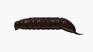 Libra Lures GOLIATH 30mm kryl Farbe38 15Stk