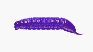 Libra Lures GOLIATH 30mm kryl Farbe20 15Stk