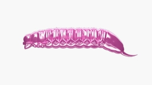 Libra Lures GOLIATH 30mm kryl Farbe18 15Stk