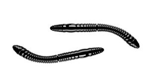 Libra Lures FATTY D'WORM 55mm Ser Farbe 40 12Stk