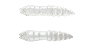 Libra Kukolka 27mm secosnek Farbe 4 15Stk