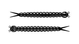 Libra Slight Worm 38mm Kryl Farbe 40 15Stk