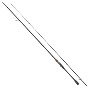 Robinson CityLiner Lachs 3.00m 10-50g 2cz S