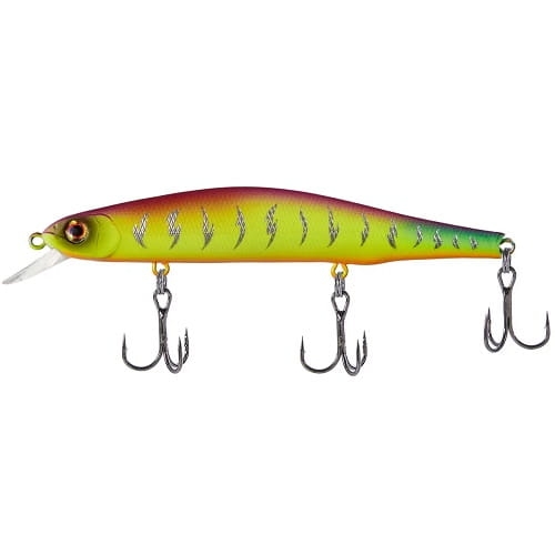 Select Insider #03.jpg