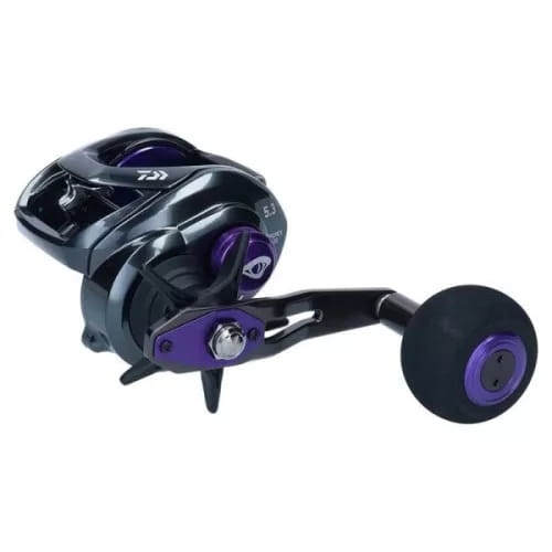 daiwa-24-steez-sv-tw1.jpg