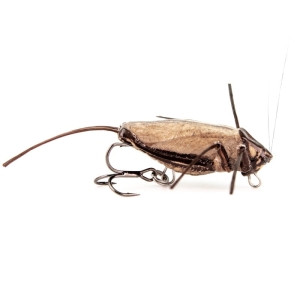 IMAGO LURES Hopper Wobbler 3,5cm F 1,7g LBDB