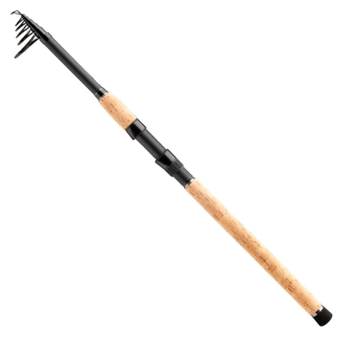 Daiwa Megaforce Tele 2,40m 7-25g12.jpg