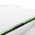 MADCAT Green Pellet 3,10m 200-400g 2cz S12345.jpg