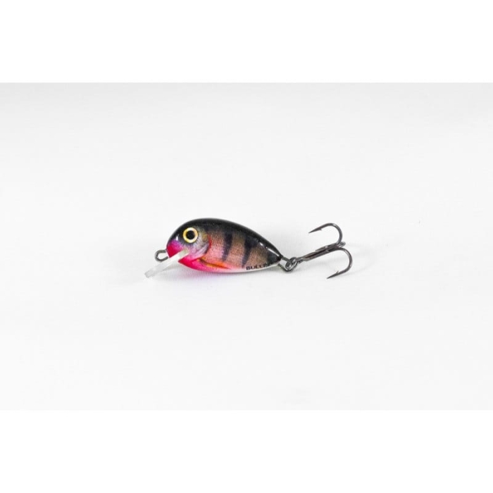 Hunter Bullet 25mm 2,2g Kol.RP S.jpg