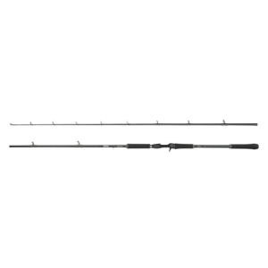 Abu Garcia Beast X2 2,49 m 100-280 g 2 Stück C