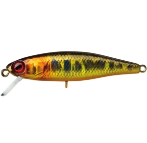 TINY FRY 38 SP HL GOLD FORELLE