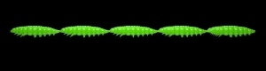Libra Lures Larva Multi 026 Hot Green Cheese 25Stück