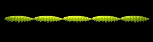 Libra Lures Larva Multi 027 Apfel Grün Chee 25pcs