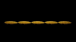Libra Lures Larva Multi 036 Kaffeemilch Krill25Stück