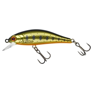 GUNKI Rodan 59 SHW ACID Forelle Gold