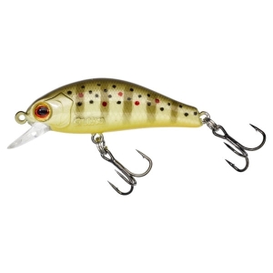 GUNKI Rodan 40 SHW Wildforelle