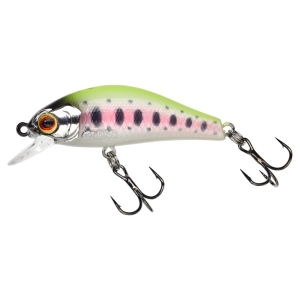GUNKI Rodan 40 SHW UV Karte Forelle