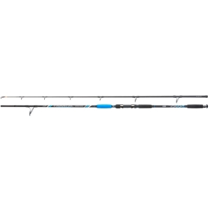 Jaxon Caracal Welsrute 285cm bis 400g 2sec