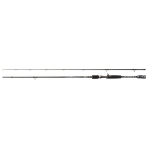 Jaxon Wild Horse Cast Rute 240cm 10-35g 2sec