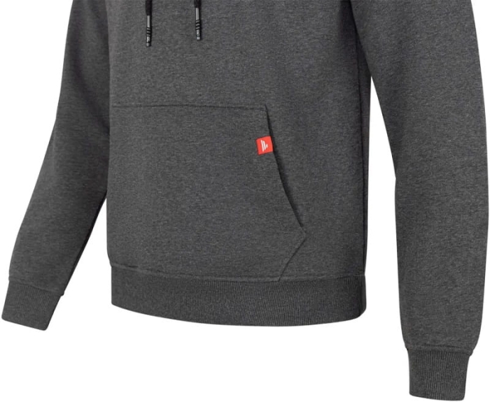 /environment/cache/images/productGfx_137019_700_700/Favorite-Bluza-Black-Logo-Dark-Grey-Melange3.jpg