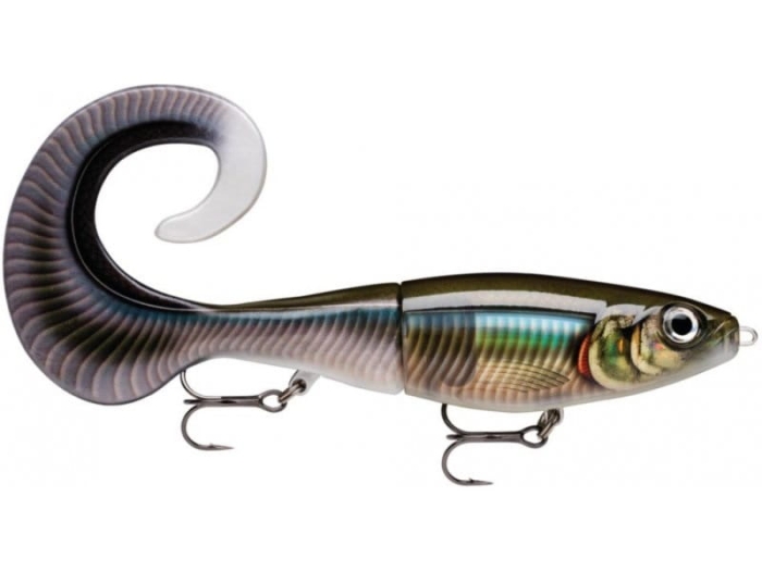RAPALA X-Rap Otus 17cm 40g Smelt On The Beach.jpg