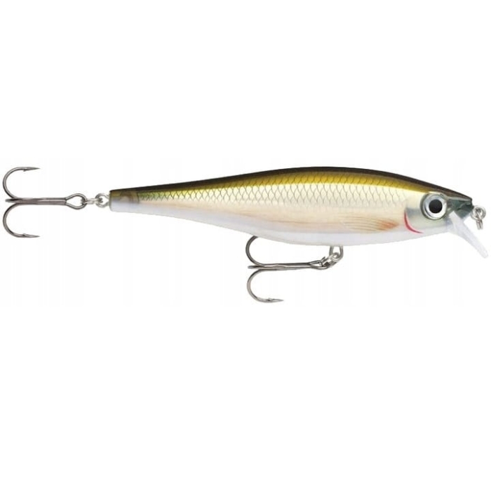 RAPALA BX Minnow 10cm BXM10 SMT.jpg