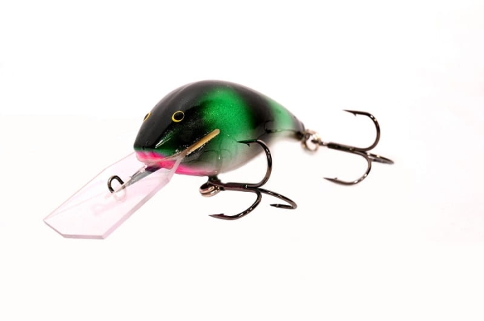 Sum 04.JPG