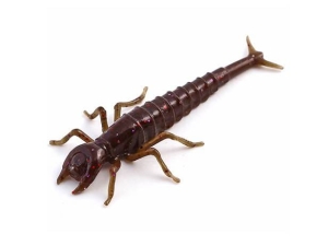 FishUP Diving Bug 5cm #050 Green Pumpkin Brown Red Purple 8pcs