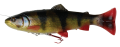SG_4D_PulseTail_SS_Perch.png