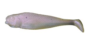 Realistic Shad HALSKRAUSE 4cm J4 026 20pcs