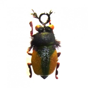 Schwimmender Jig Real Beetle Brown #6
