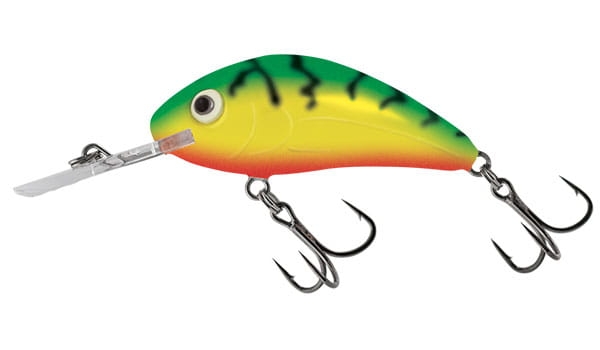 rattlin-hornet-qrh002.jpg