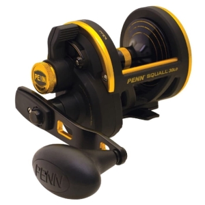 Multirolle Penn Squall 30 Lever Drag RH