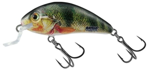 Salmo RATTLIN’ HORNET SHALLOW 3,5cm 3g Supernatural Perc