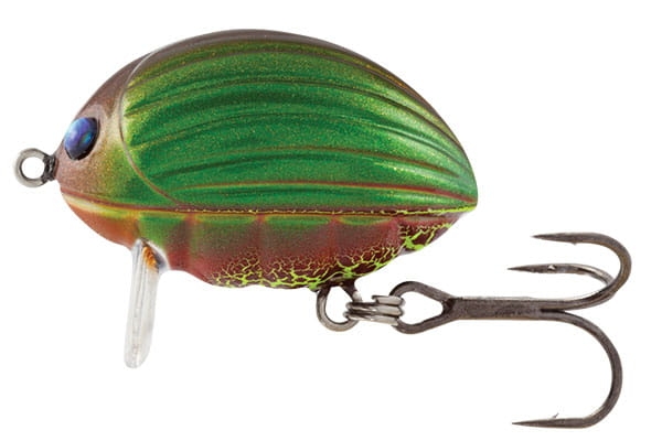 lil-bug-qbg001.jpg