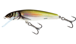 SALMO MINNOW 7cm 8g Holo Bleak SINK