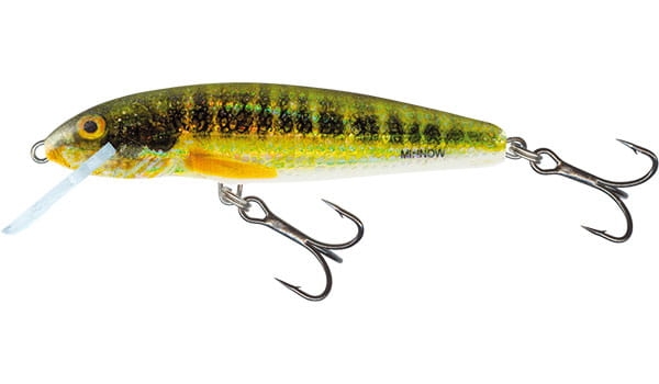 minnow-qmw048.jpg