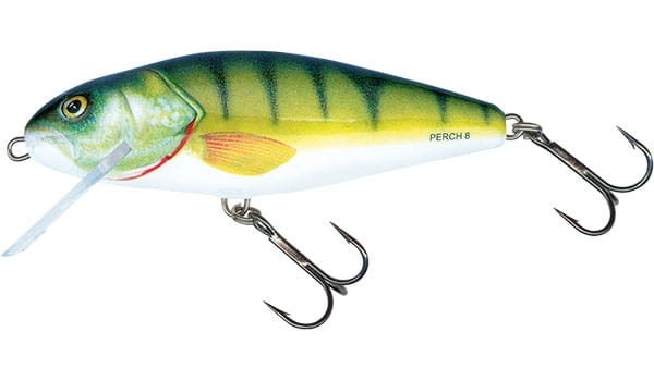 perch-qph024.jpg