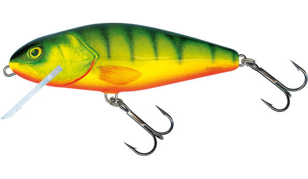 perch-qph008.jpg