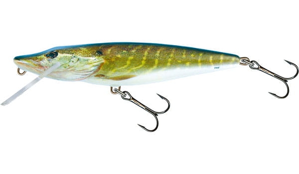 pike-qpe010.jpg